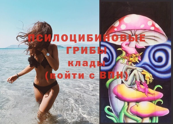 СК Армянск