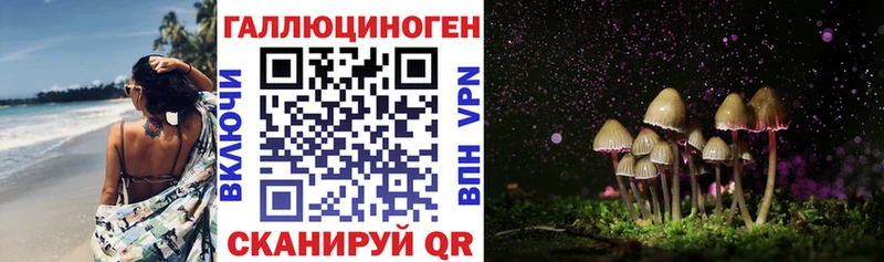 Галлюциногенные грибы прущие грибы  мориарти как зайти  Сунжа 